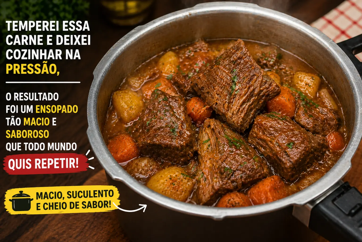 Temperei essa carne e deixei cozinhar na pressão, o resultado foi um ensopado tão macio e saboroso que todo mundo quis repetir
